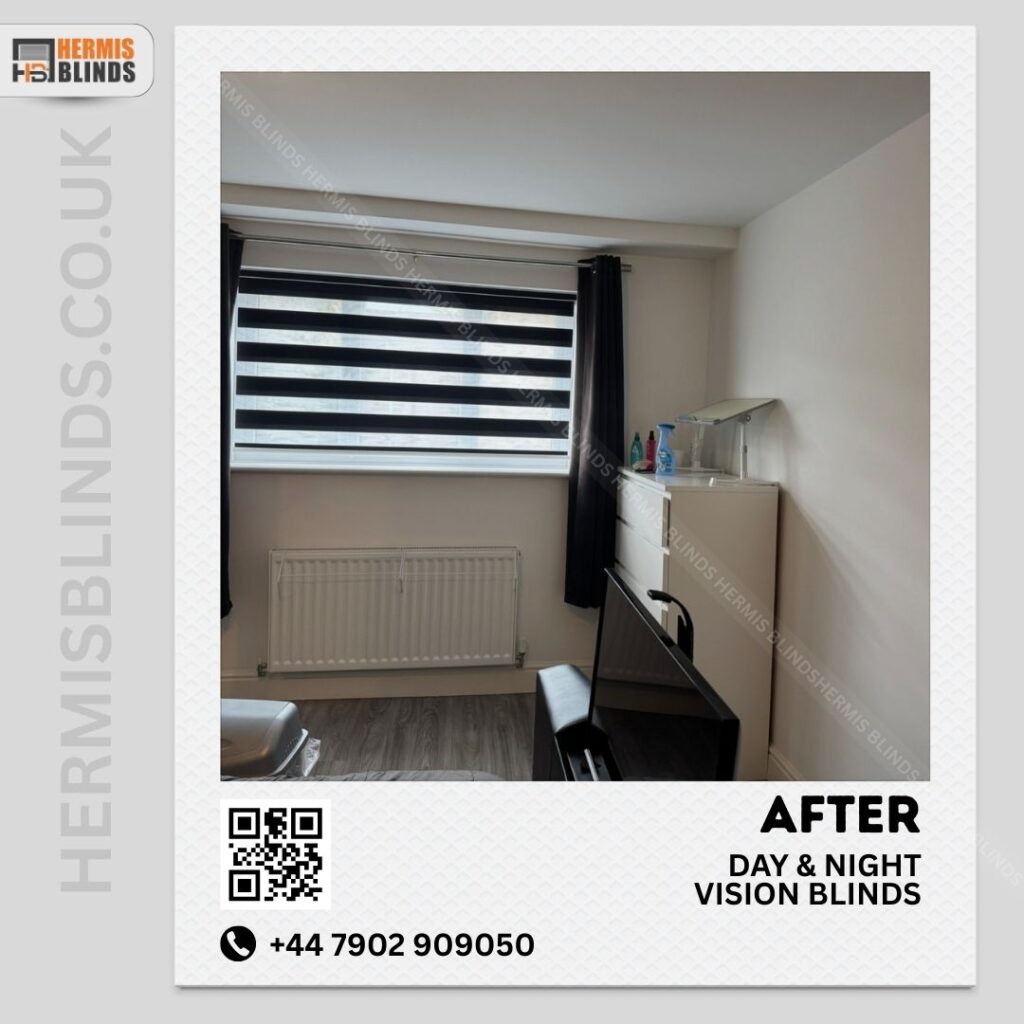 Day and night or vision blinds