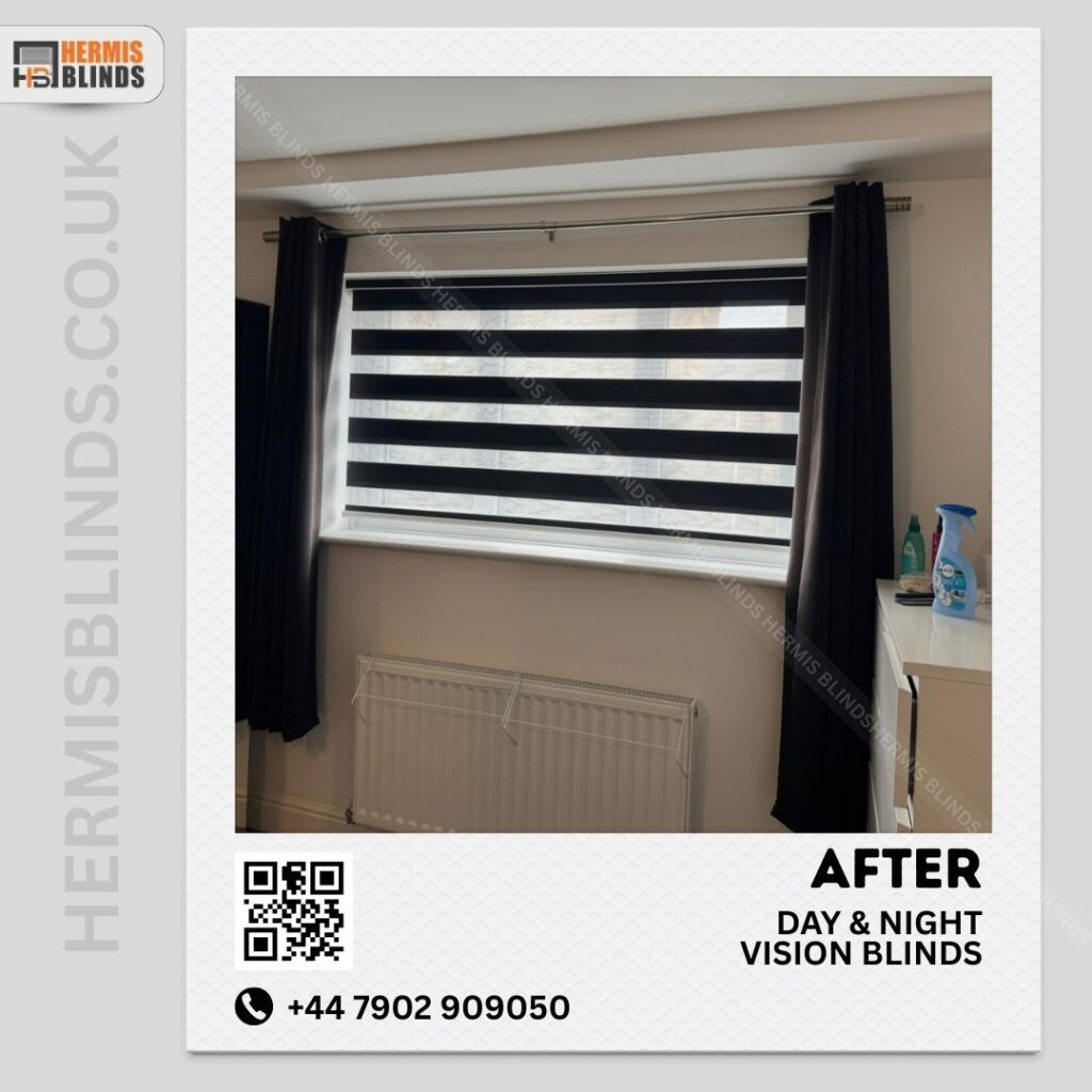 Day and night or vision blinds