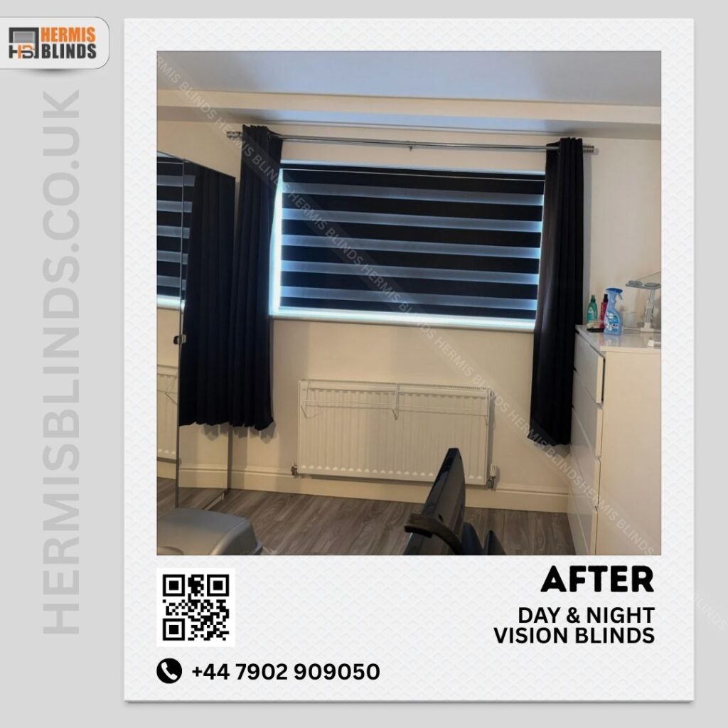 Day and night or vision blinds
